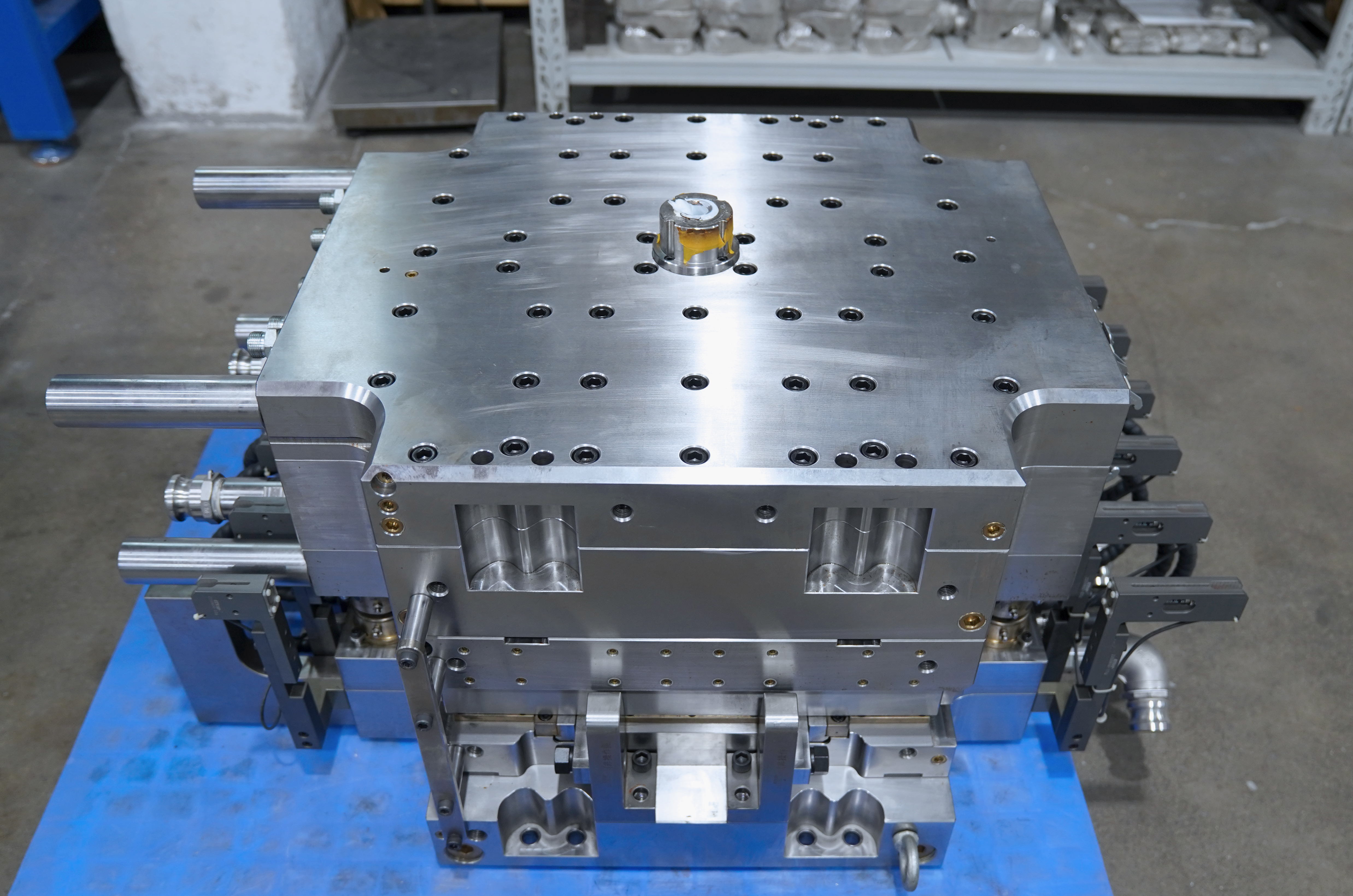 48-Cavity PET Preform Mold