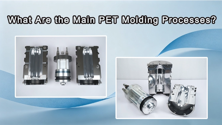 What Are the Main PET Molding Processes