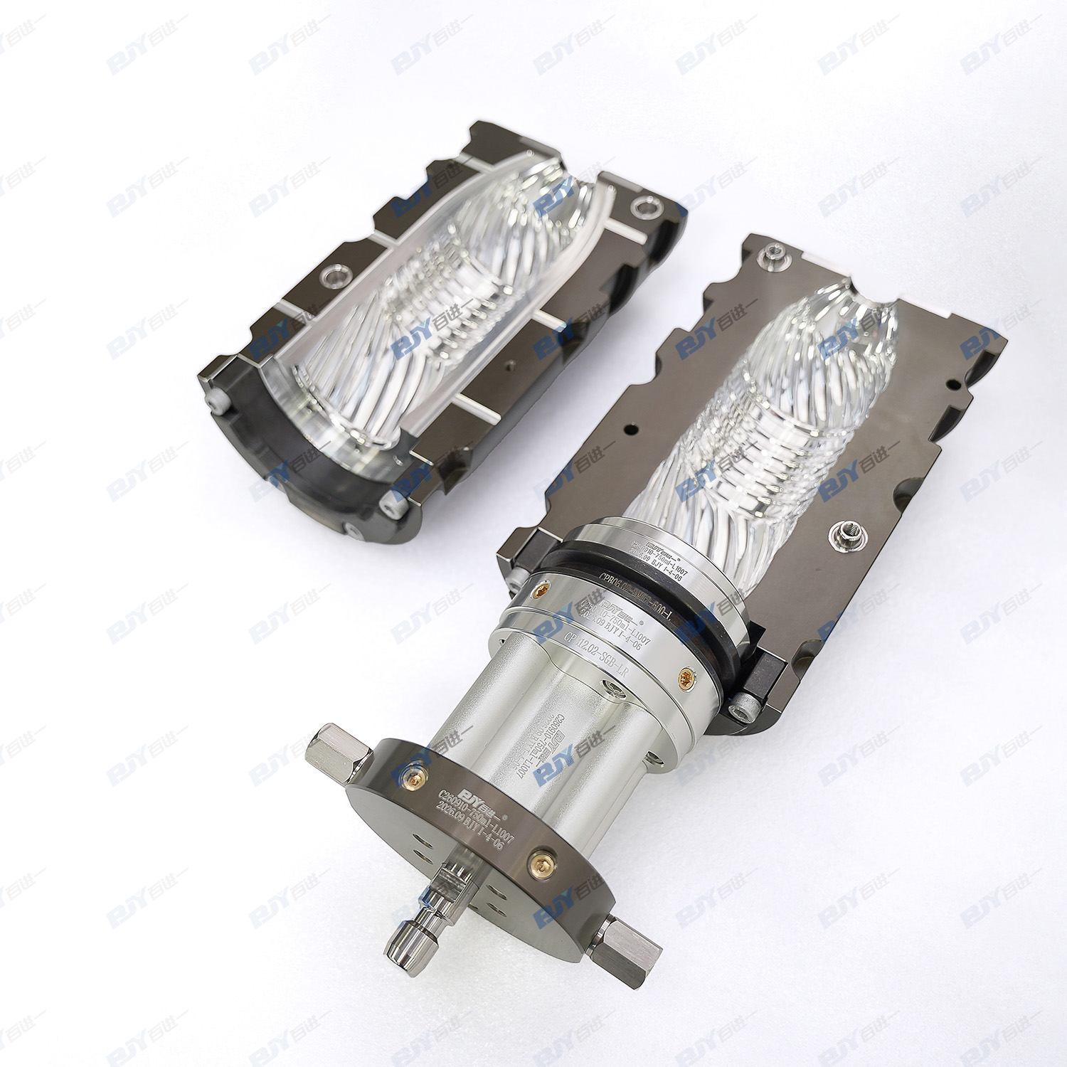 BJY 750 ml PET Blow Mold